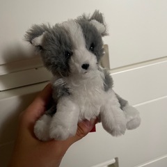 イルカ、ネコぬいぐるみの画像