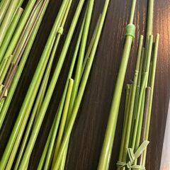 【中古 一部新品】ガーデニング用支柱たっぷり約150本セット（ばらつき有り）の画像
