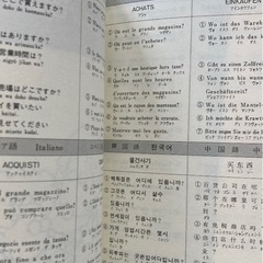 8ヶ国語旅行会話の画像
