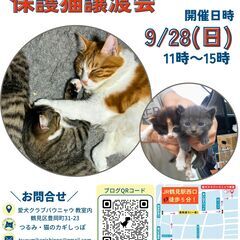 つるみ・猫のカギしっぽ譲渡会９月２８日（日）　 JR鶴見駅西口か...