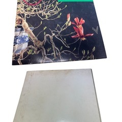 国風盆栽展　第51回〜90回　全29巻　おまけの本4冊　総額25万円相当の画像