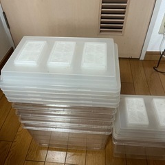 クワガタ　コバエシャッター　飼育の画像