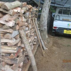 未乾燥薪写真全部、マテバシイ7割、クス他3割。、幅２１００ｍｍ*高１3００ｍｍ*薪長３０ｃｍから４０ｃｍ薪ストーブ、キャンプ薪の画像