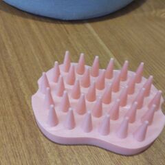 ペットブラシの画像