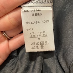 シースルーブラウスの画像