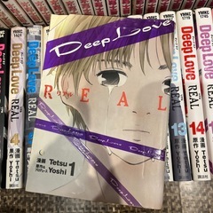 Deep Love REAL　全19巻  Tetsuの画像