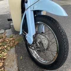 
リトルカブ　　の画像