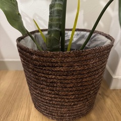 フェイクグリーン 観葉植物の画像
