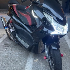 PCX 125cc 低走行の画像
