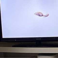 SONY TV 2013年 32V　　の画像