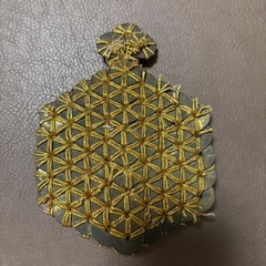 5円玉アート　亀の画像