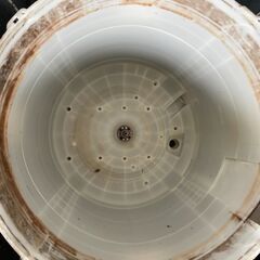洗濯機の分解クリーニング行っています！配送設置込み　ハイセンス5.5K洗濯　2022年製　分解クリーニング済み！！の画像