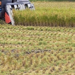 一緒に仕事をやって頂ける方募集します。の画像