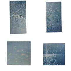 186000 現状品  Mr.Children REFLECTION Naked リフレクション完全生産限定盤 [1000025339542]の画像