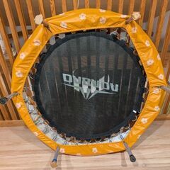 ダバダ　トランポリン　直径102cmの画像