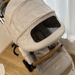 エアバギー フロムバース アースサンドの画像