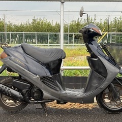 現状販売　セピアの画像