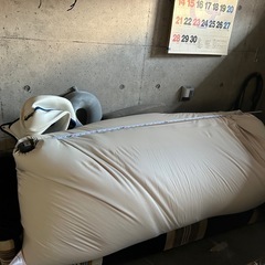 ヨギボーマックス　　　の画像