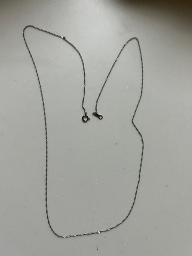 pt850ネックレス