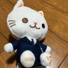 美品✨SEVENTEEN  JOSHUAぬいぐるみの画像