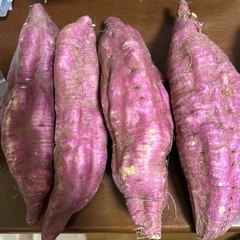 令和7年産さつまいも