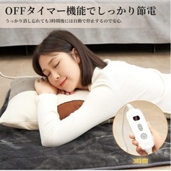 電気カーペット毛布の画像