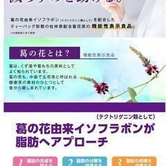 日本薬健の杜仲茶 葛花プラス 50袋入り×2袋の画像