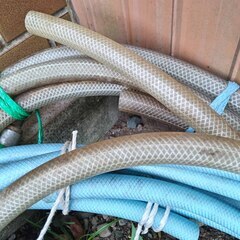 逗子 無料あげます 水道 ホース 散水 水まき 蛇口ホース 水道用ホース リール 散水用具 DIY 工具 ガーデン 排水ホース 送水 排水用 工業、土木・建設、農業・灌漑 洗濯機排水ホース 延長ホース キッチン 給水・吸水ホース 水道用品 高圧洗浄 部材 園芸資材の画像