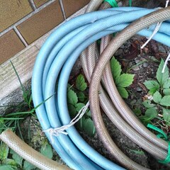 逗子 無料あげます 水道 ホース 散水 水まき 蛇口ホース 水道用ホース リール 散水用具 DIY 工具 ガーデン 排水ホース 送水 排水用 工業、土木・建設、農業・灌漑 洗濯機排水ホース 延長ホース キッチン 給水・吸水ホース 水道用品 高圧洗浄 部材 園芸資材の画像