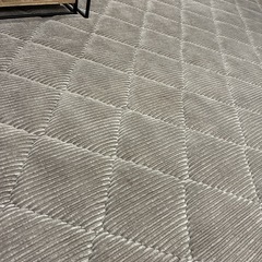 イケヒコ極厚ラグの画像