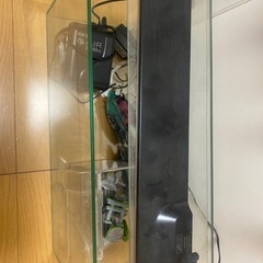 45センチ水槽の画像