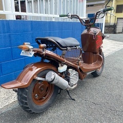 ホンダズーマー50！！の画像