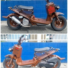 ホンダズーマー50！！の画像