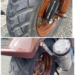 ホンダズーマー50！！の画像