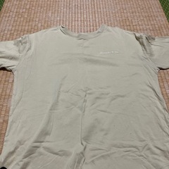 ⓪レディース　M 半袖の画像