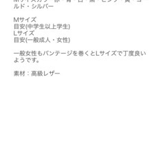 ボクシング　パンチンググローブの画像