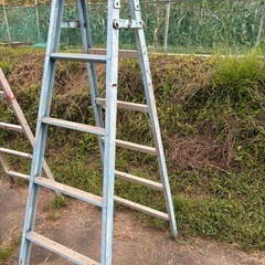 6段アルミ脚立2個の画像