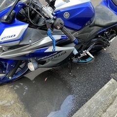 yzf-r25の画像