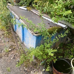 FRP 大型水槽　特大　の画像