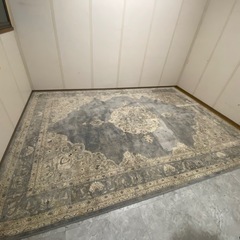 カーペット　ラグ　ベルギー製　絨毯 240✖️340cmの画像