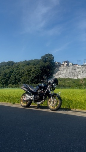 ホンダ   ホーネット250絶好調‼️
