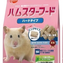 ハムスター　えさの画像