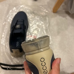 ゴルフシューズの画像