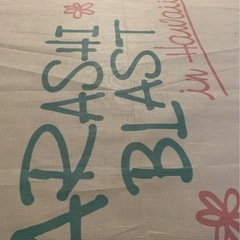 嵐　ARASHI　 ハワイ　非売品の画像