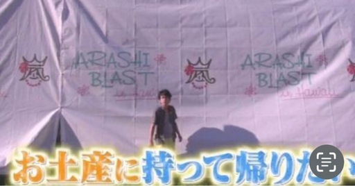 嵐　ARASHI　 ハワイ　非売品