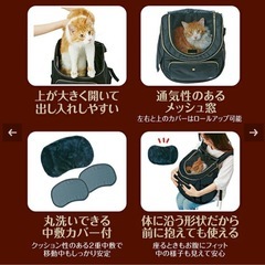 猫用　キャリーリュック　の画像