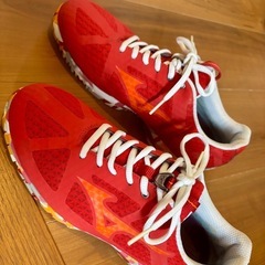9/15迄価格　新品同様mizuno スポーツスニーカーの画像