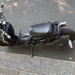 HONDAズーマー
の画像