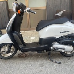 ホンダトゥデイ50cc - af67 の画像