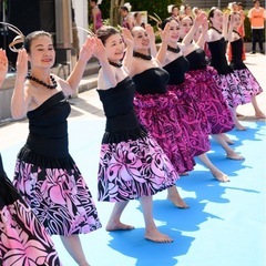 南草津駅近く　フラダンス　無料体験会開催中！の画像